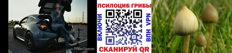 Псилоцибиновые грибы GOLDEN TEACHER  дарнет шоп  blacksprut   Чита 